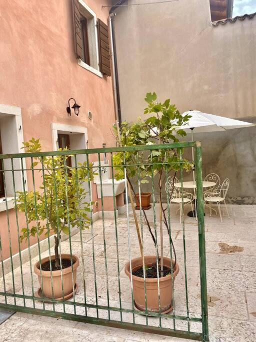Casa Ca Orsa Βίλα Cavaion Veronese Εξωτερικό φωτογραφία